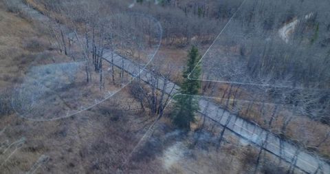 Drone boardwalk winding through autumn wetlands with lone evergreen and lens smudges