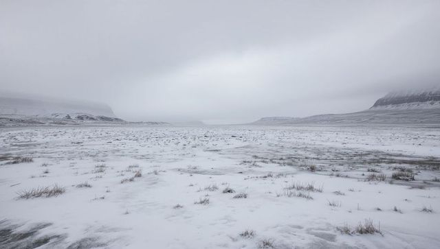 Desolate Snow-covered Tundra with Scattered Grass Tufts Leading to Misty Cliffs, Overcast