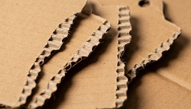 Macro torn corrugated cardboard edges showing fibrous fluting and brown kraft texture
