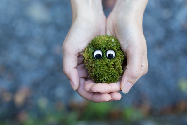 Hands holding moss with googly eyes outdoors, presenting a whimsical and playful touch. Ideal for eco-friendly concepts, creative art projects, nature education materials, and promoting environmental awareness. Encourages a fun and imaginative interaction with nature.