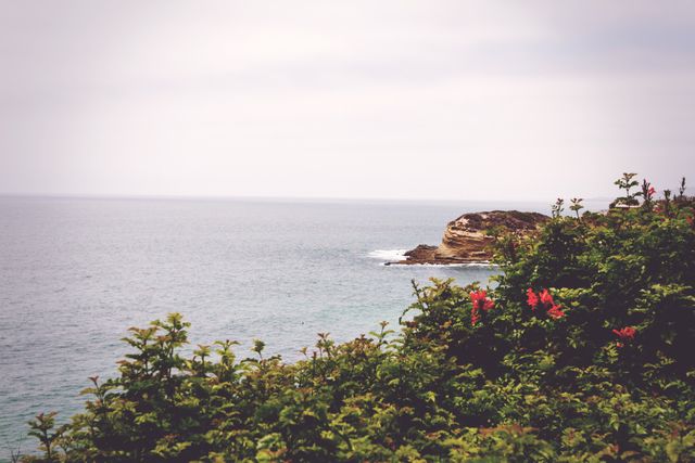 Serene Coastal Cliff Overlooking Tranquil Ocean on Cloudy Day - Download Free Stock Photos Pikwizard.com