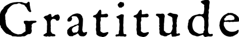 Stylish gratitude text design on transparent background