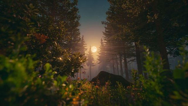 Full Moon Illuminating Mystical Misty Pine Clearing at Night