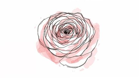 Hand-drawn rose drawing with pink watercolor accents on white background