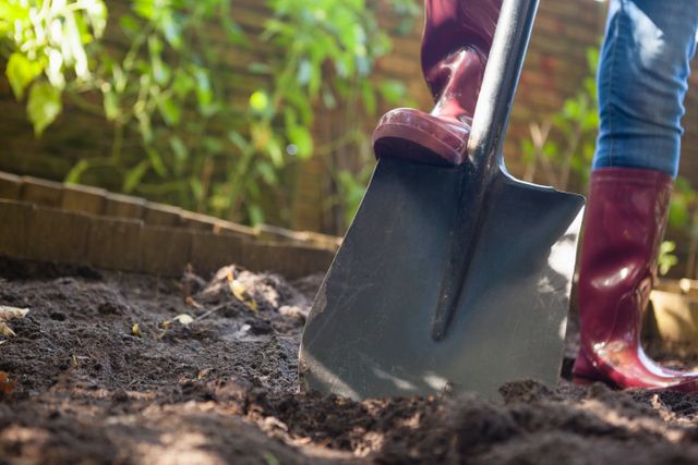 Senior woman standing with a shovel in a backyard garden, preparing soil for planting. Ideal for content related to gardening, outdoor activities, healthy lifestyle, and hobbies for seniors.