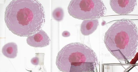 floating red blood cells over laboratory beakers and flasks - Download Free Stock Images Pikwizard.com