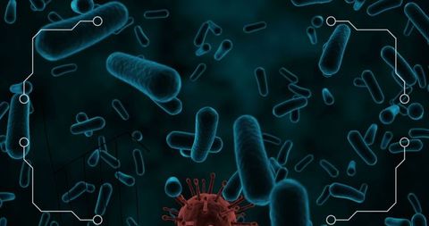 Digital Interface Analyzing Virus Cells with Data Elements - Download Free Stock Images Pikwizard.com