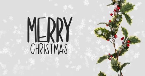 Merry Christmas Text with Holly Leaves and Snowflakes