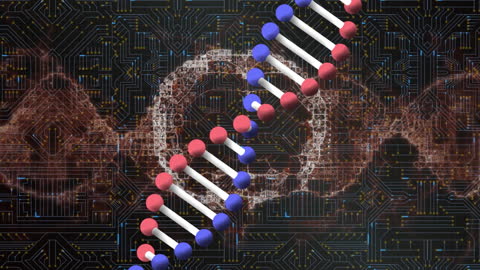 Digital DNA Representation with Circuit Background
