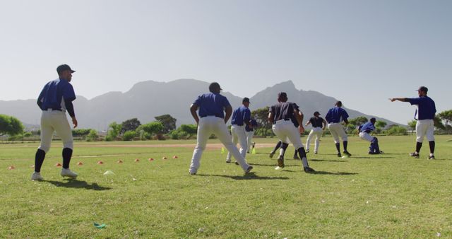 Youth Baseball Team Practicing Drills Outdoors on Sunny Day - Download Free Stock Images Pikwizard.com