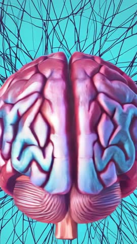 Rotating 3D Brain Model Revealing Hemispheres with Neural Wire Network Teal Vertical Video