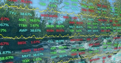 Stock Market Diagrams Reflecting Over Forest Stream