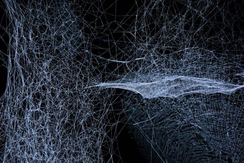 Glowing cobweb network creating intricate filigree texture against dark void