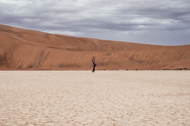 Image of a solitary tree standing in a vast, barren desert under a dramatic cloudy sky. Sand dunes stretch in the background, and the ground is covered with cracked, dry earth. This image can be used for concepts of isolation, desolation, minimalistic nature, harsh environments, and extreme conditions. Suitable for travel blogs, nature magazines, and environmental awareness campaigns.