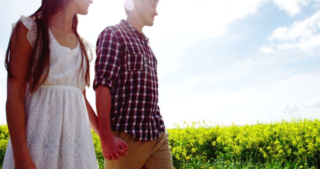 Romantic couple holding hands while walking in field on a sunny day