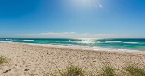 Tranquil Beach Waves with Clear Sky and Swaying Dune Grass