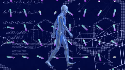 Human Body and Digital Data Elements in Scalars Field