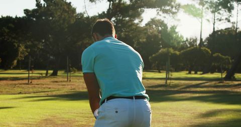 Golfing on Scenic Course with Trees - Download Free Stock Images Pikwizard.com