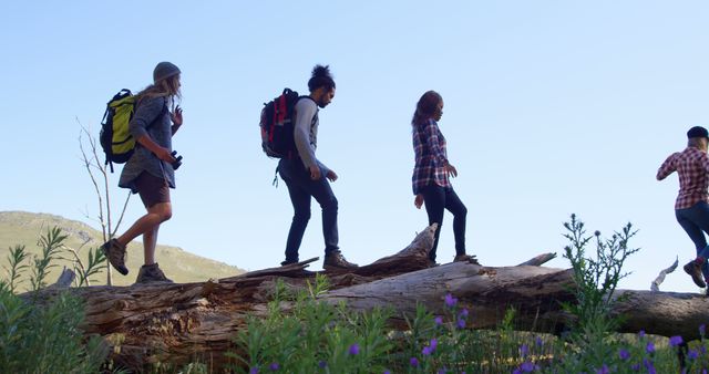 Group of Friends Hiking on Fallen Tree in Nature - Download Free Stock Images Pikwizard.com