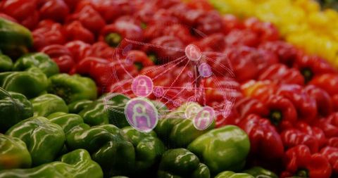 Holographic social network globe floating over colorful bell peppers on grocery display shelf