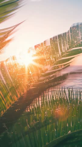 Rustling Palm Fronds Glowing in Golden Hour Over Tropical Shoreline Vertical Video Clip