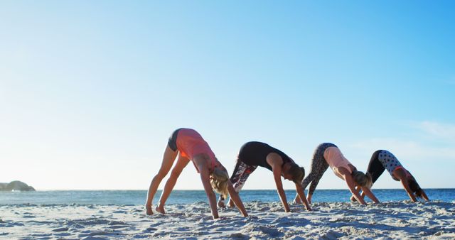 Group Practicing Yoga on Sandy Beach at Sunset - Download Free Stock Images Pikwizard.com