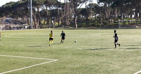 Soccer Players Competing Under Sunny Sky