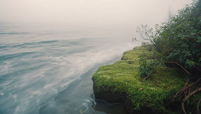 Misty Lakeshore Landscape with Moss-Laden Shore