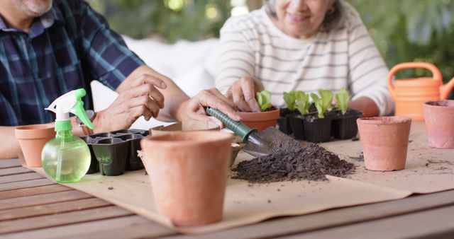 Happy diverse senior couple sitting at table and planting plants to pots on porch, vertical. Retirement, leisure, togetherness, gardening, plants and nature concept, unaltered.