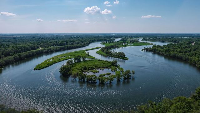 Meandering river snaking through floodplain wetland, wooded islands, aerial summer landscape