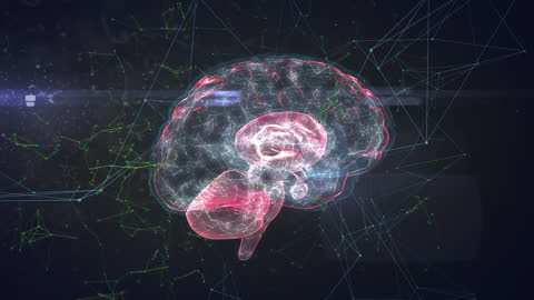 Digital Brain Visualization with Network Connections