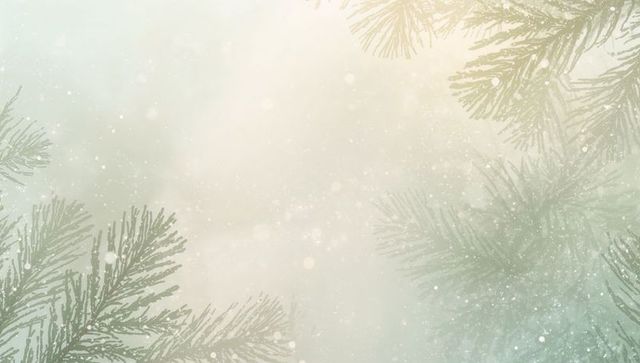 Evergreen Pine Branches Framing Winter Snow Bokeh Background with Soft Pastel Mist