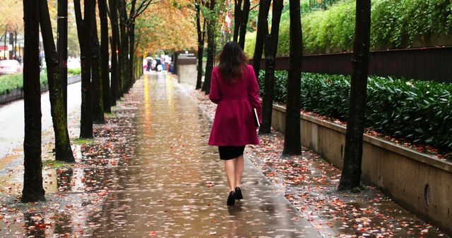 Woman Walking on Rainy Street in Autumn - Download Free Stock Images Pikwizard.com