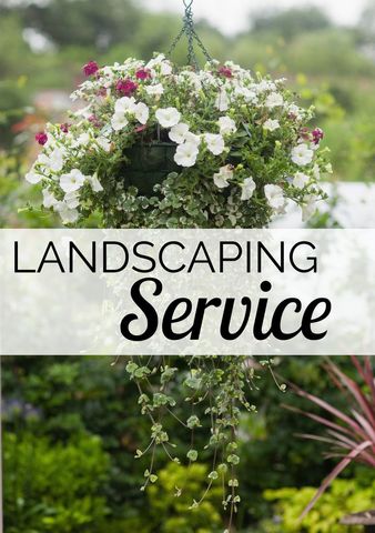 floral hanging basket advertising landscaping services - Download Free Stock Templates Pikwizard.com