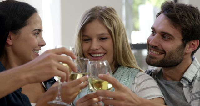 A group of friends toasting with glasses of wine, smiling and enjoying each other's company. Ideal for use in advertisements related to social gatherings, celebrations, or wine products. Perfect for blogs or articles that focus on friendship, parties, or happy moments.