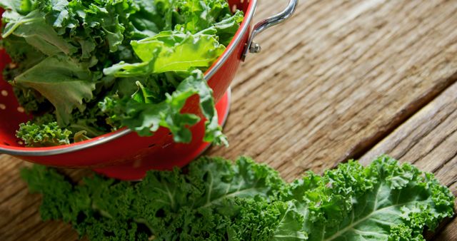 Fresh kale leaves are spilling out of a red colander onto a wooden surface, with copy space. Kale is a nutritious leafy green often used in salads and healthy cooking.