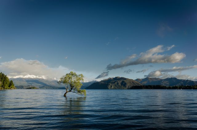 Image captures a single tree growing in a calm lake with serene, reflective water and mountains in background under a partly cloudy sky. Suitable for travel blogs, nature posters, meditation backgrounds, and promotional material for retreats.