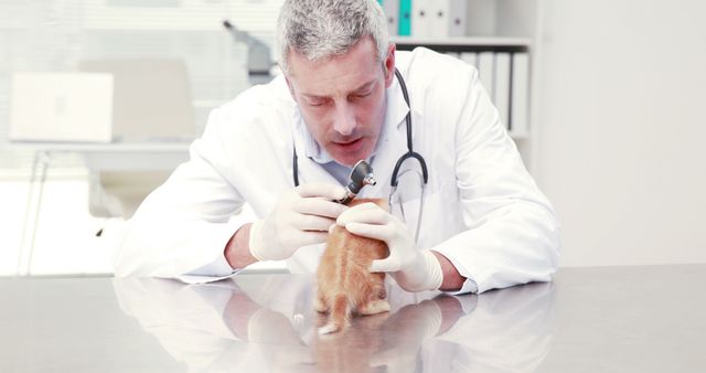 Veterinarian Examining Small Puppy with Otoscope in Clinic - Download Free Stock Images Pikwizard.com