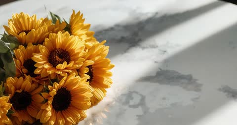 Elegant Floral Display of Sunny Sunflowers Moving across Marble Tabletop