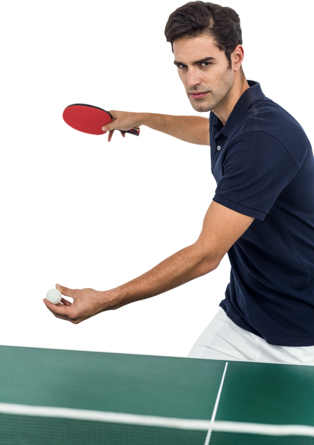 Confident Male Athlete in Action Playing Table Tennis - Transparent Background - Download Free Stock Videos Pikwizard.com