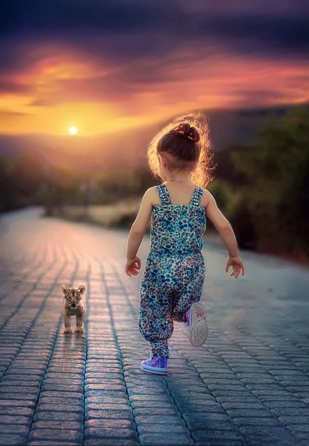 A young girl runs joyfully towards a tiny kitten on a cobblestone path during a vibrant sunset. Use this image for themes of childhood, innocence, joy, and outdoor adventures. Ideal for children’s stories, educational materials, and family-focused content.