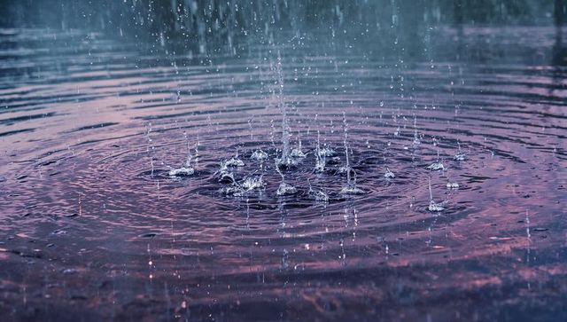 Raindrops creating ripples and crown formations on pond surface
