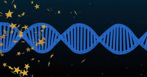 Blue dna helix stretching across cosmic navy background with gold star confetti accents