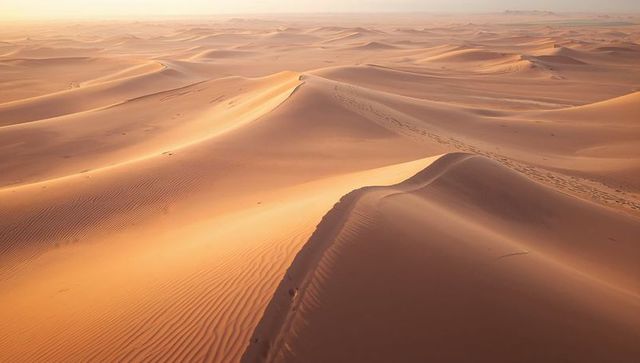 Sunlit sand dunes stretching across vast golden desert panorama at sunrise