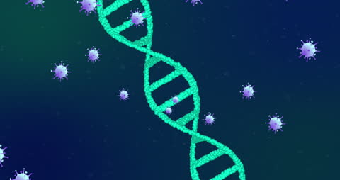 Animated DNA Helix Surrounded by COVID-19 Particles