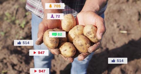Hands offering freshly harvested potatoes with digital interaction icons
