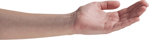 Transparent Image of Woman's Cupped Hand Outstretched Detail View - Download Free Stock Videos Pikwizard.com