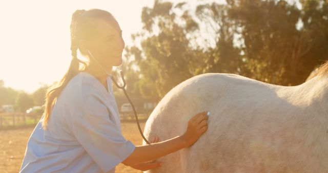 An image of a female veterinarian examining a horse using a stethoscope at sunset in a rural setting. This image is great for depicting animal care, veterinary services, female professionals in veterinary medicine, or outdoor activities related to animal health. It is suitable for use in articles, magazines, and promotional materials focused on veterinary medicine, equestrian sports, or rural lifestyles.