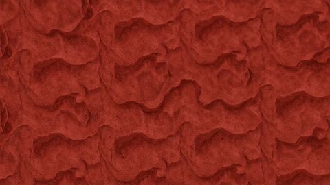 Red sandstone surface with honeycomb texture