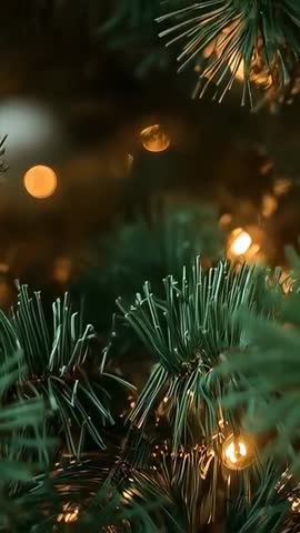 Shifting camera revealing macro pine needles with warm bokeh lights on Christmas tree